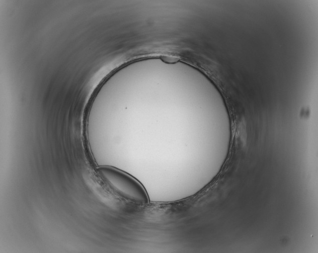 X0000113980148200910231715