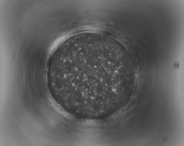 X0000113980149200910231715