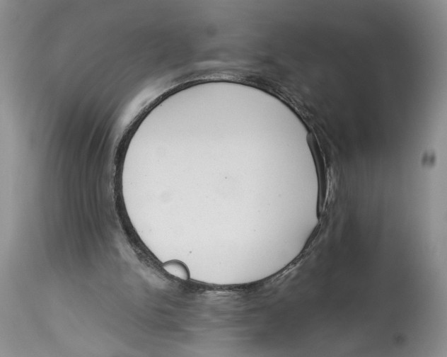 X0000113980150200910231715