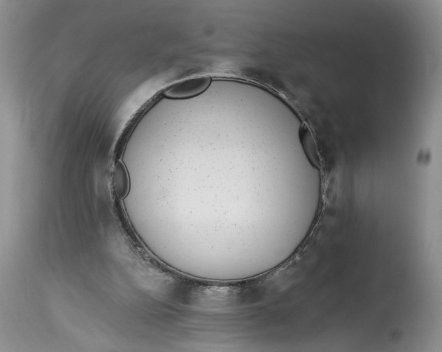 X0000113980152200910231715