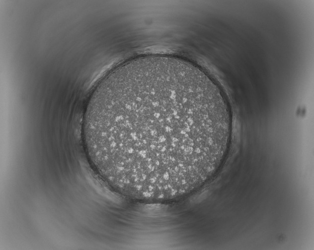 X0000113980153200910231715