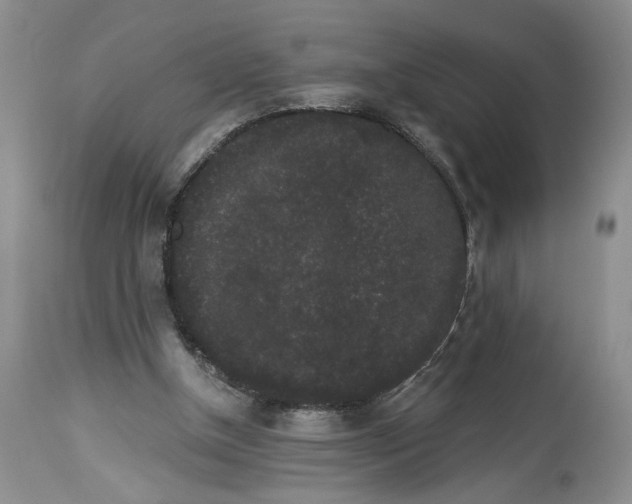 X0000113980154200910231715
