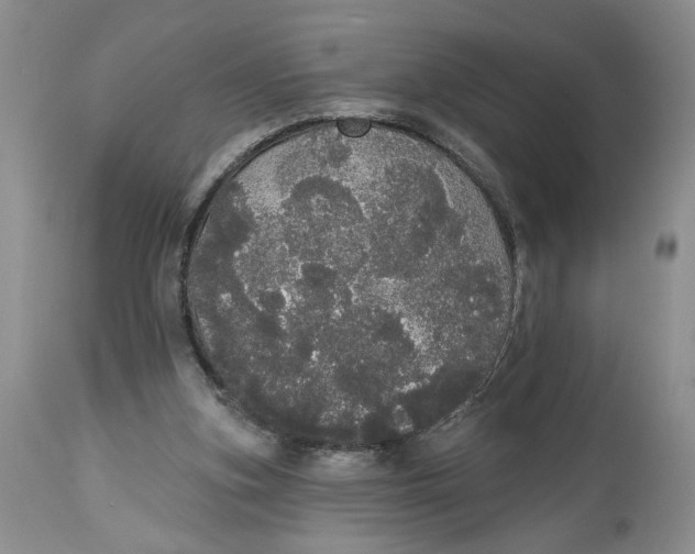 X0000113980155200910231715