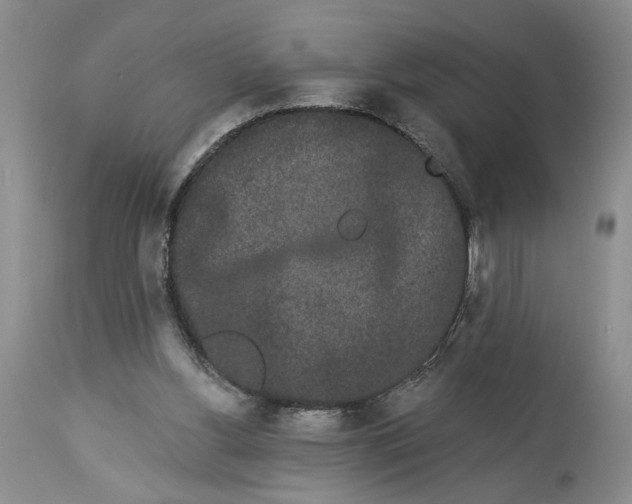 X0000113980156200910231715