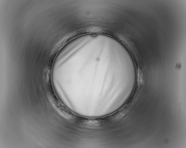 X0000113980157200910231716