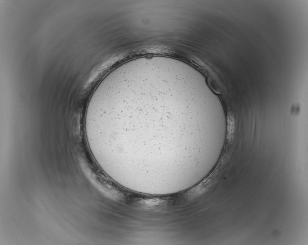 X0000113980158200910231716