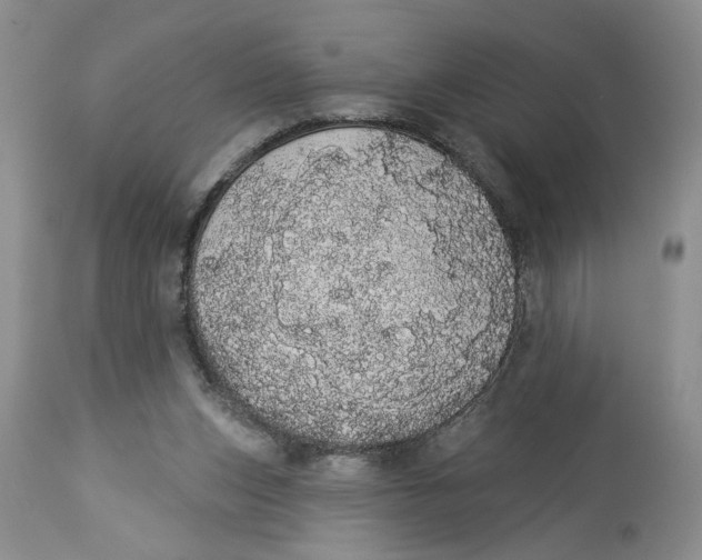 X0000113980159200910231716