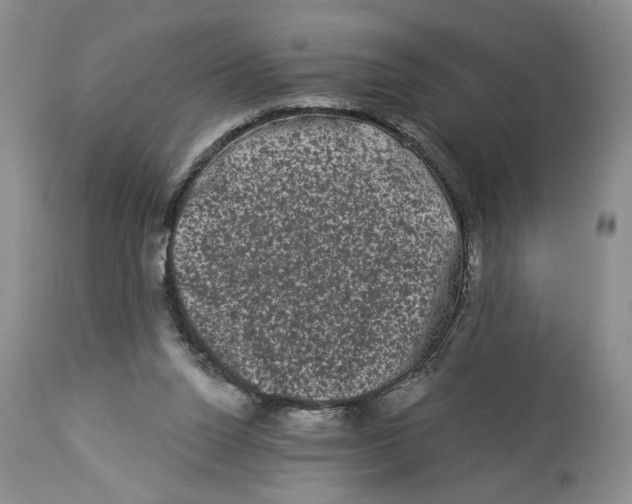 X0000113980160200910231716