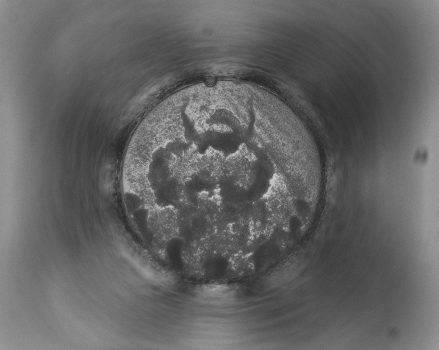 X0000113980161200910231716