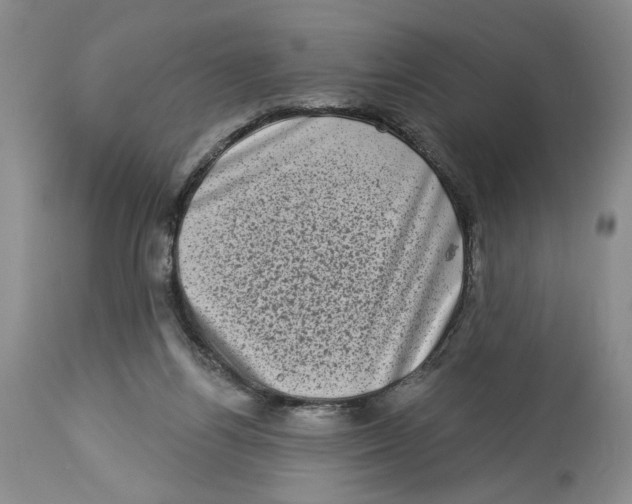 X0000113980164200910231716