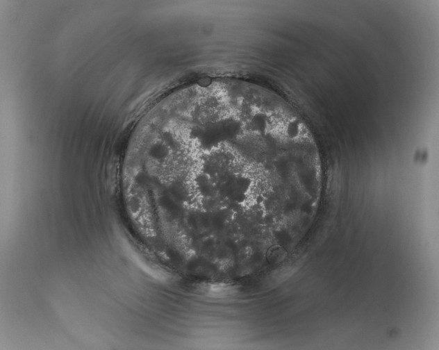 X0000113980165200910231716