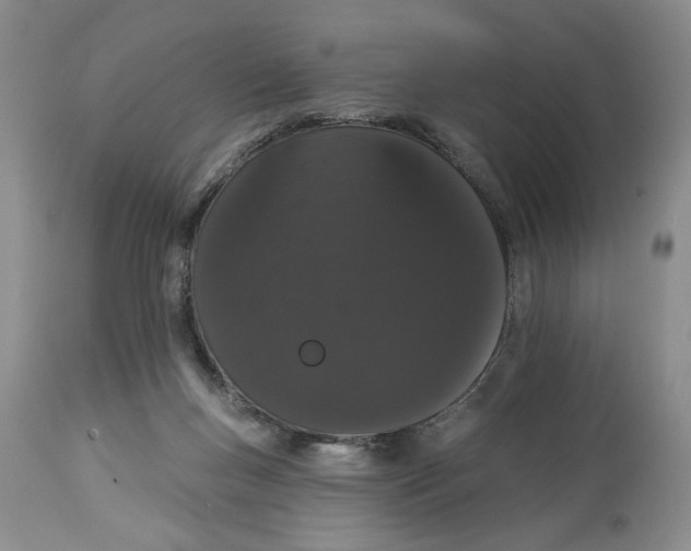 X0000113980167200910231716