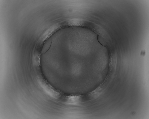 X0000113980168200910231716