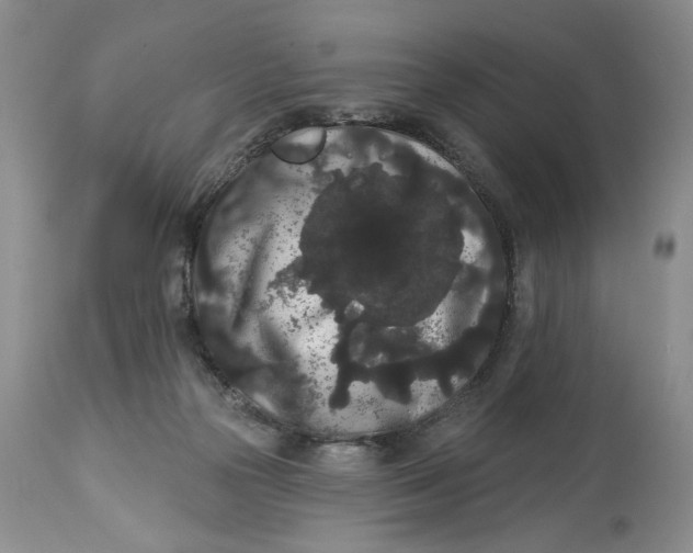 X0000113980169200910231716