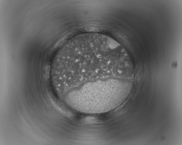 X0000113980171200910231716