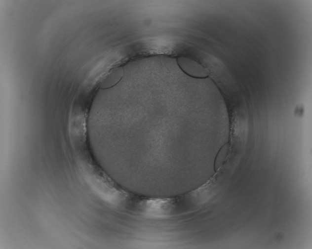 X0000113980172200910231716