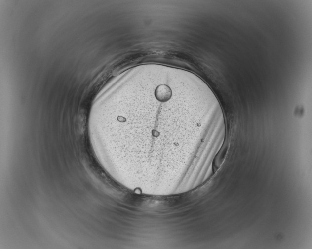 X0000113980174200910231716