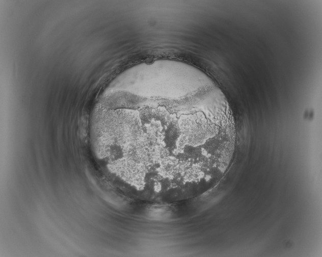 X0000113980175200910231716