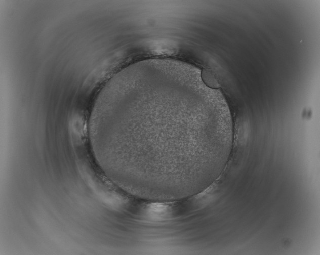 X0000113980176200910231716