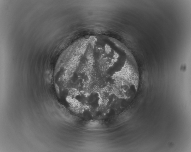 X0000113980177200910231716