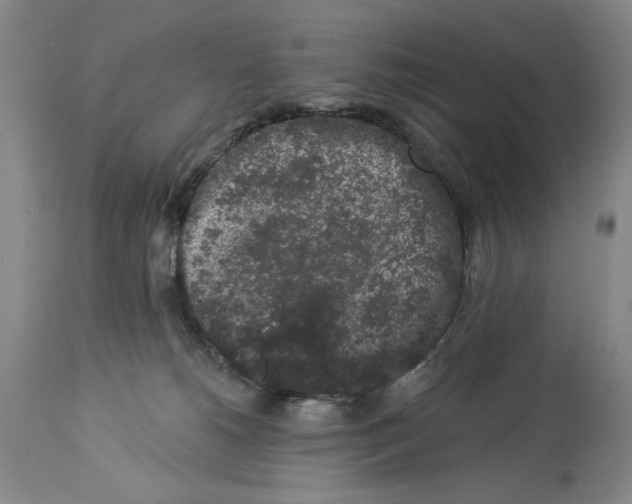 X0000113980180200910231716