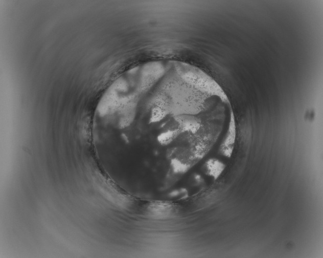 X0000113980181200910231716