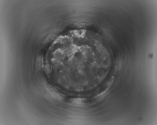 X0000113980182200910231716