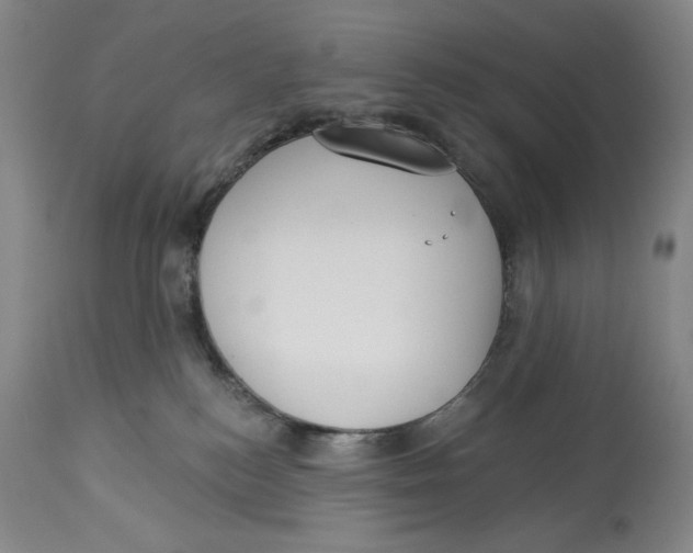 X0000113980184200910231716
