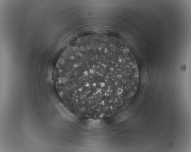 X0000113980185200910231716