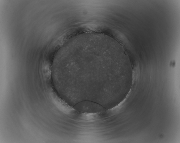 X0000113980186200910231716