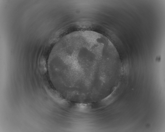 X0000113980187200910231716