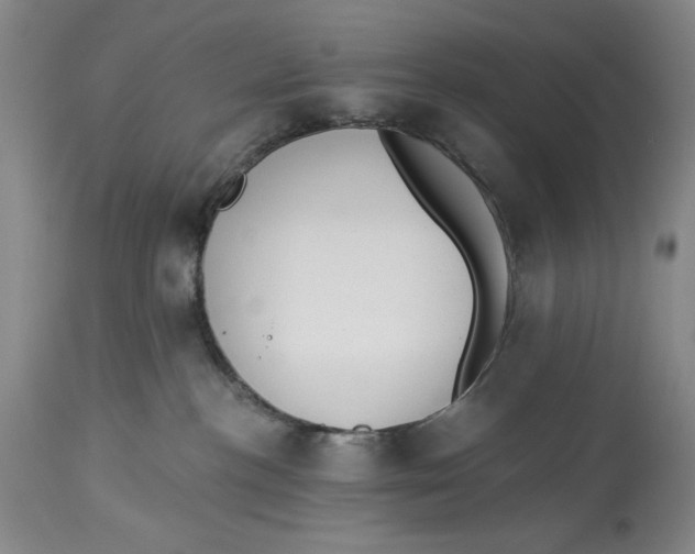 X0000113980188200910231716