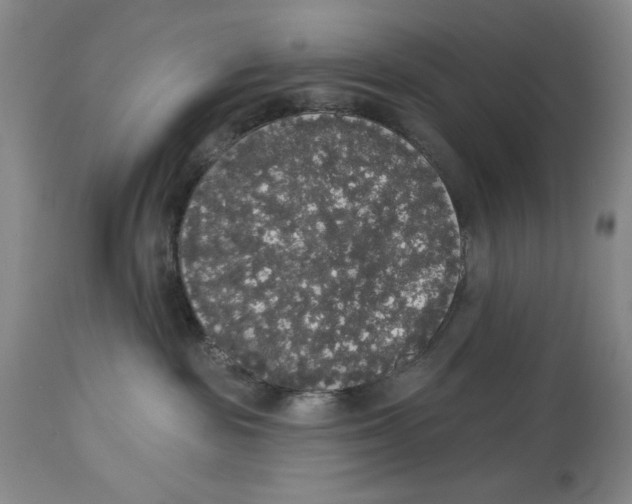 X0000113980189200910231716