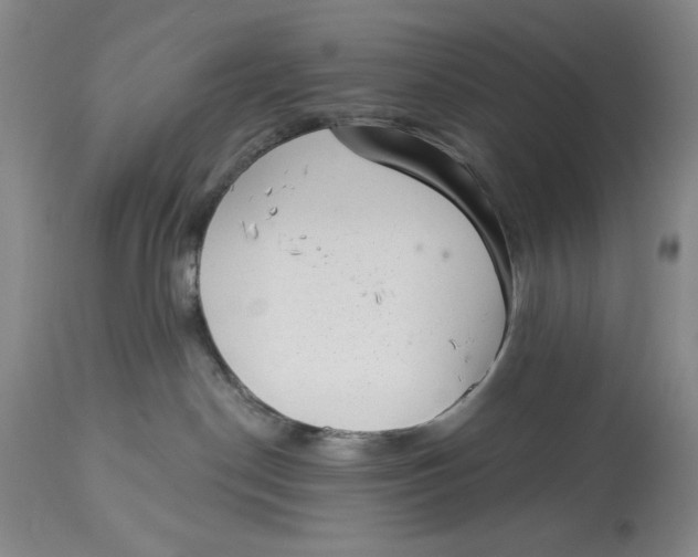 X0000113980190200910231716