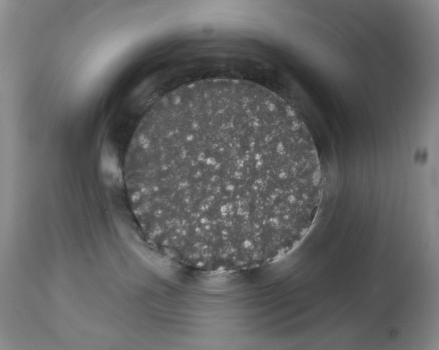 X0000113980191200910231716
