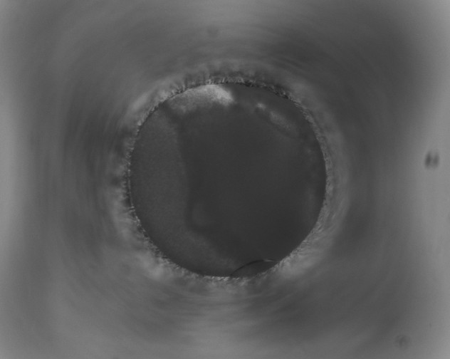 X0000113980192200910231716