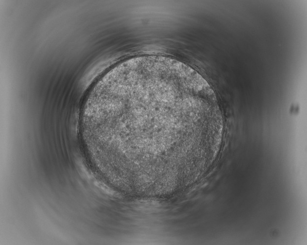 X0000113980194200910231715