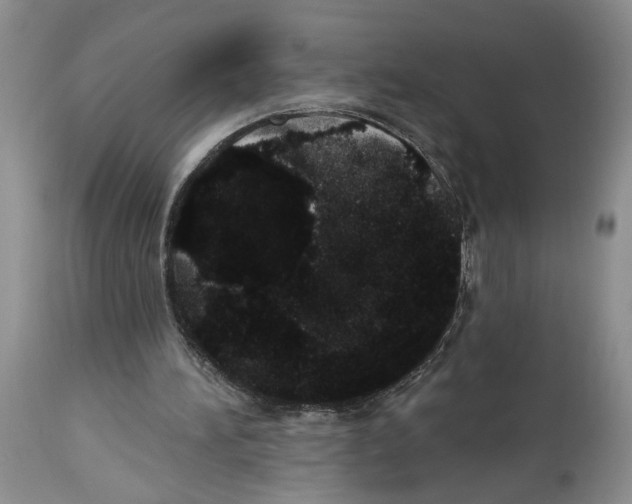 X0000113980196200910231715