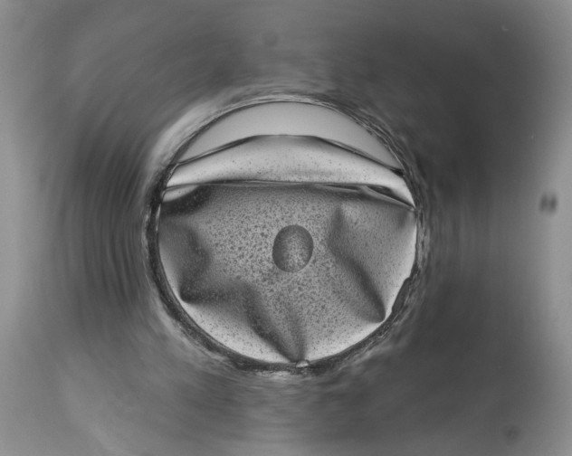 X0000113980197200910231715