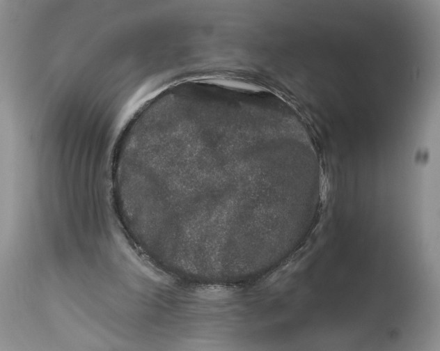 X0000113980198200910231715