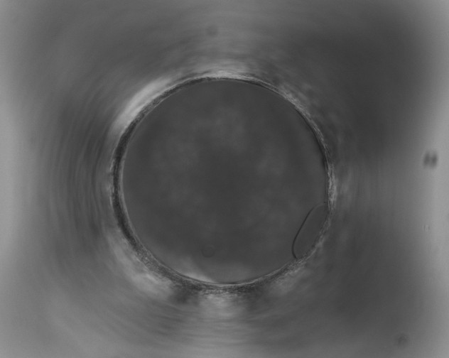 X0000113980199200910231715