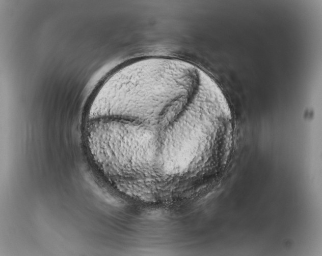X0000113980200200910231715
