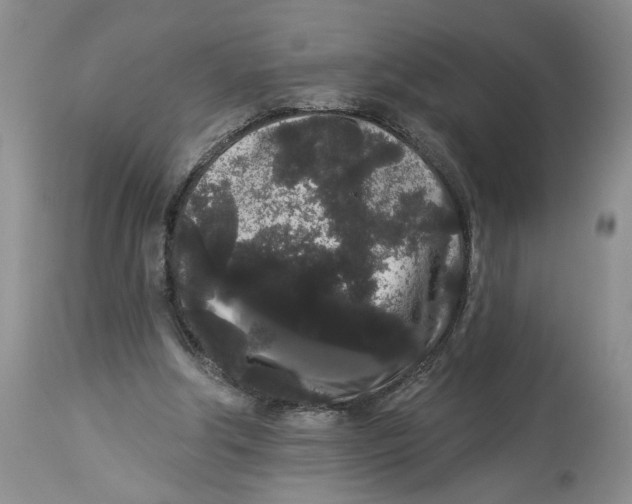 X0000113980202200910231715