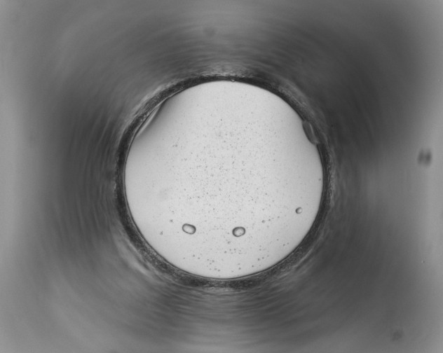 X0000113980203200910231715