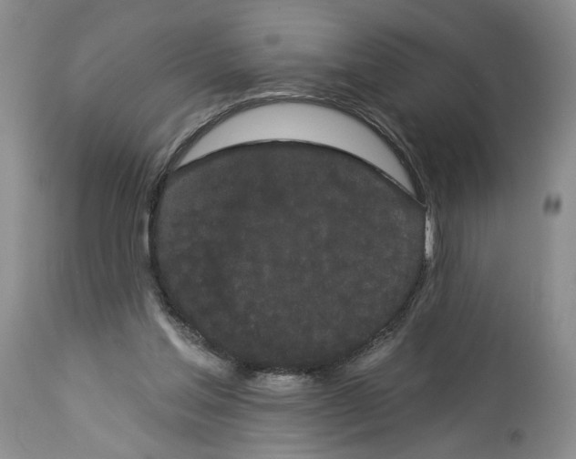 X0000113980205200910231715