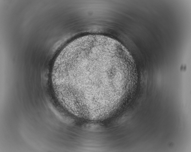 X0000113980208200910231715