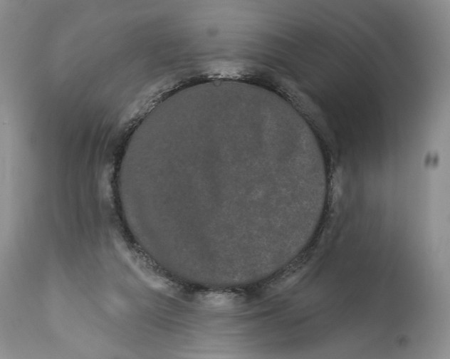 X0000113980209200910231715
