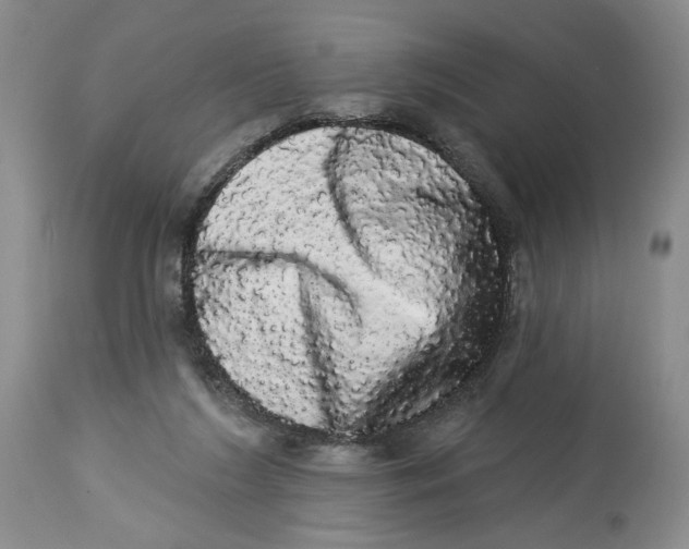 X0000113980212200910231715