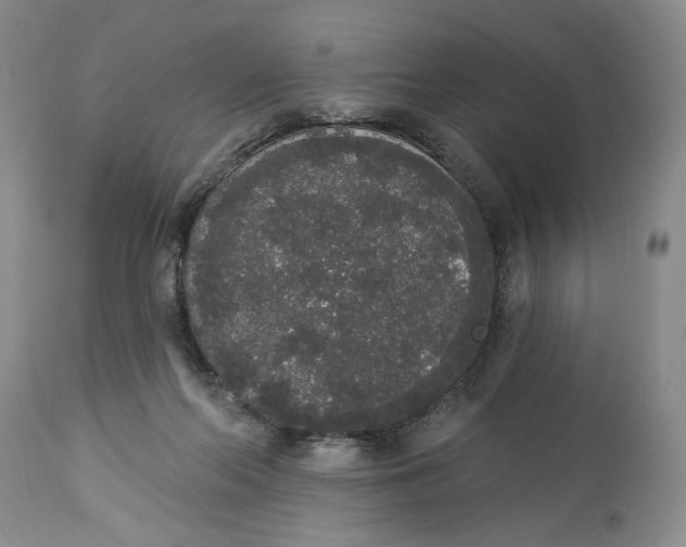 X0000113980214200910231715