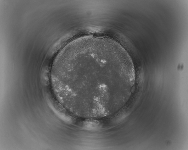 X0000113980215200910231715